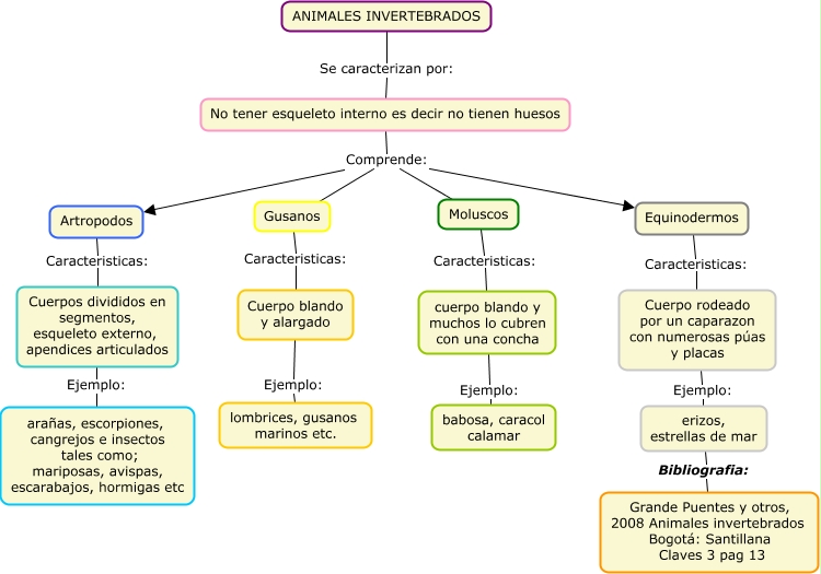 Mapa Mental Sobre Animais Invertebrados Study Maps Me - vrogue.co